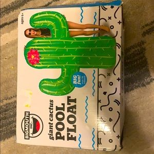COPY - giant cactus pool float